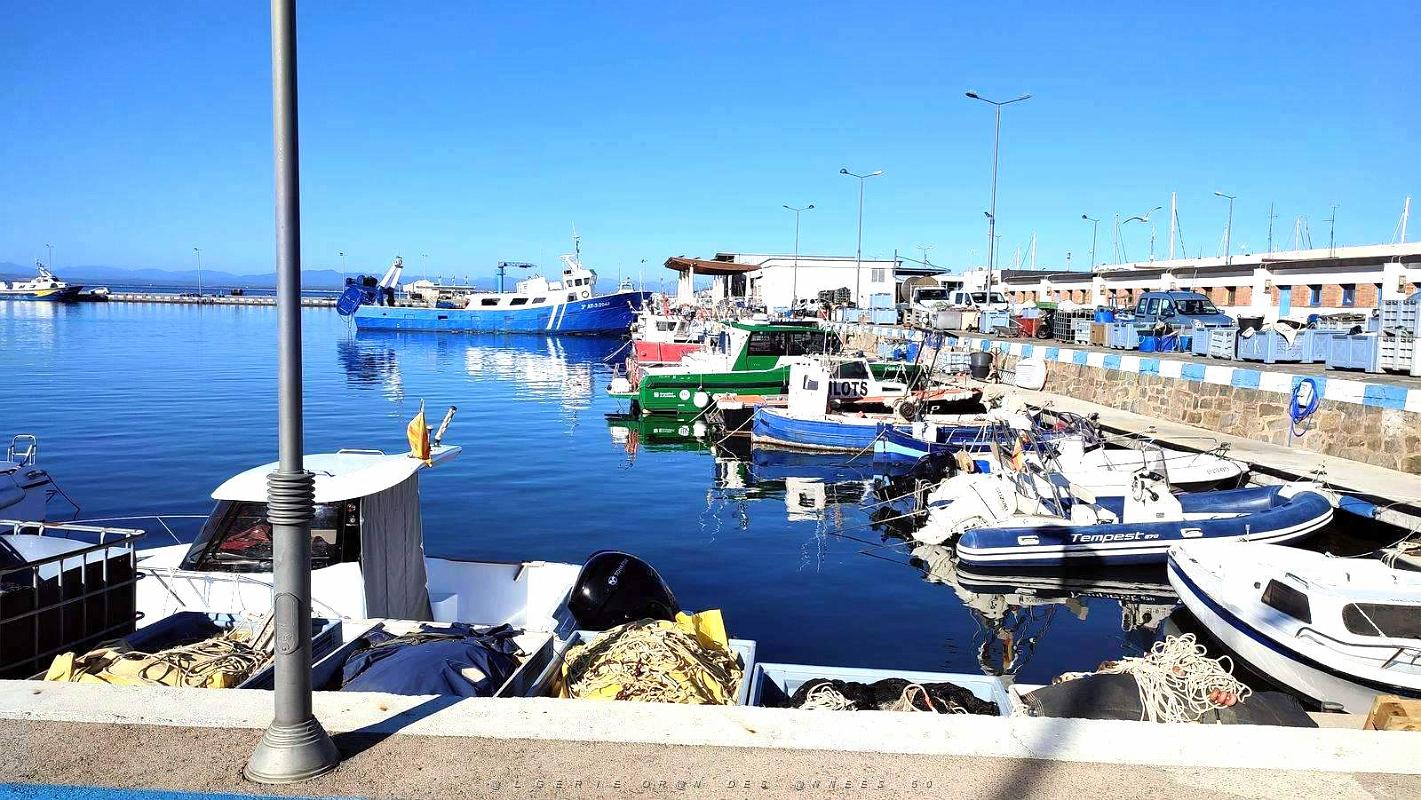 04 - Rosas - Port.jpg